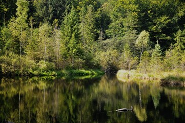 city, view, town, panorama, architecture, europe, cityscape, urban, travel, building, italy, house, landscape, roof, sky, old, aerial, prague, buildings, street, panoramic, church, tourism, tower, ger