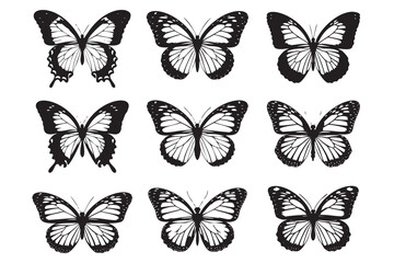 Obraz premium A collection of nine detailed black and white silhouettes of butterflies