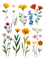 A Collection Of Watercolor Style Wildflowers And Greenery on a transparent background, cut out, PNG 3D Digital Art, clip art.
