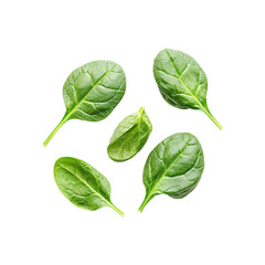 Naklejka premium Fresh Spinach Leaves Isolated on Black Background,