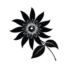 black and white flower isolated