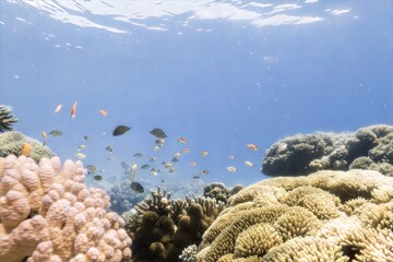 Naklejka premium Underwater Coral Reef Scene