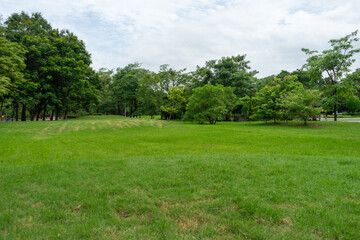 Beautiful nature at morning with sun in big city park