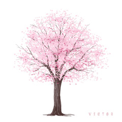  Vector watercolor blooming flower tree or forest side view isolated on white background for landscape and architecture drawing,elements for environment or and garden,Sakura tree for section