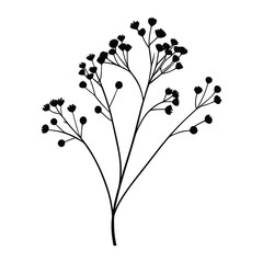 meadow flowers drawing