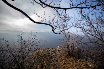 Geäst mit Ausblick