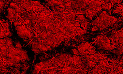 surface of the wet crack Red earth. red Cracked land or soil surface, soil texture. climate change, global warming concenpt, idea