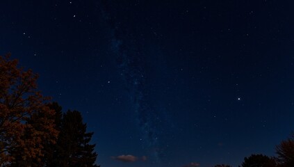 Night sky milky way galaxy with stars and trees