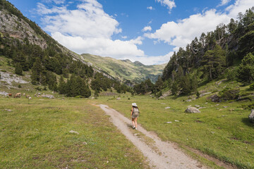 A female hiker walks along a scenic trail in the Pyrenees, Spain, surrounded by green valleys, mountains, and grazing animals on a sunny day © Martí Rosselló