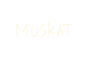 hand drawn motivation and all capital city in the world