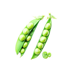 Fresh green peas in pods healthy food harvest