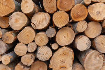 Wooden logs stacked in a pile