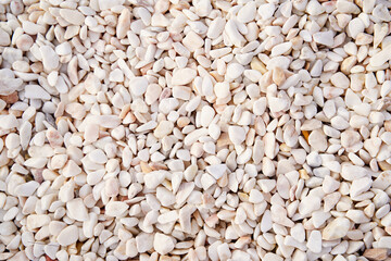 Close-Up of Small Smooth White Stones with Natural Texture