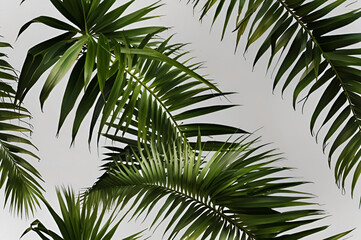 A close up of lush green palm fronds against a light background