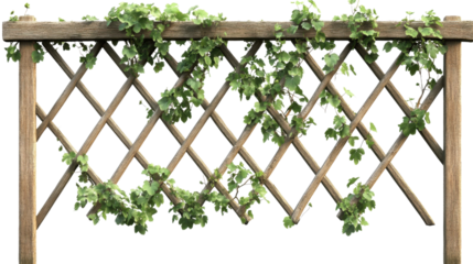Wood fence and lineage grass on transparent background