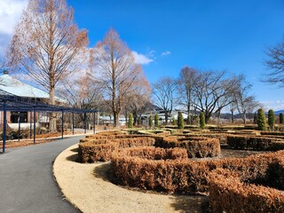 冬の中之条ガーデンズの風景　ノットガーデン