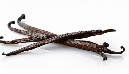 vanilla beans isolated on white background