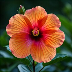 orange flower in garden