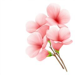 Obraz premium A cluster of delicate pink flowers with smooth petals and green stems, set against a white background.