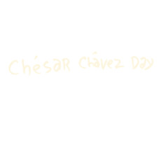 hand drawn and hand lettering for lifestyle