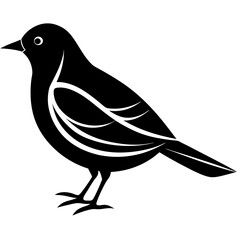 illustration of a bird