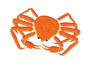 Snow crab Vector eps 10. background, perfect for wallpaper or design elements © isoon