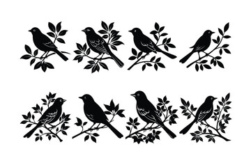 black and white silhouettes of birds