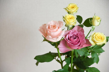 カラフルなばら