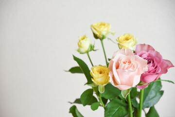 カラフルなばら