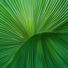 Obraz premium Tropical palm leaf patterns lush green environment nature fresh vibes close-up view of texture