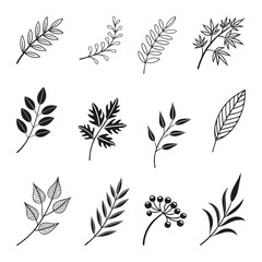 Leaf silhouette set, floral designs, botanical vector elements, herbs, branches, natural leaves, and plant illustrations for decorations, patterns, or graphic designs