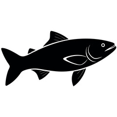 fish on a white background vector illustration