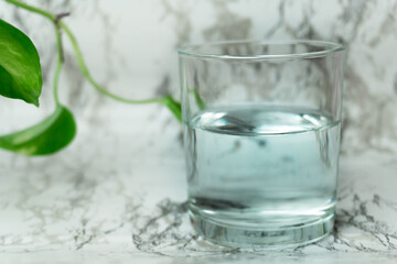 Tap water in glass on marble clean white background potos plant. Purity, rebirth, nature, healthy lifestyle, drinking more