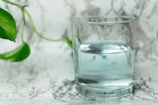 Tap water in glass on marble clean white background potos plant. Purity, rebirth, nature, healthy lifestyle, drinking more