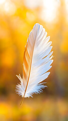 Naklejka premium Social pressure relief concept for mental health lifestyle. Delicate white feather against a warm, blurred golden background.