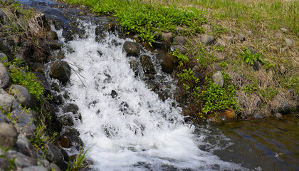 Small canal with Cherry blossoms in full bloom, Natural and Cultural Gardens, The Expo 70 Commemorative Park, Osaka, Japan