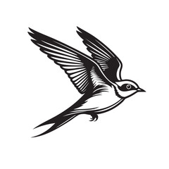 Fototapeta premium Elegant monochrome illustration of a barn swallow in flight, showcasing graceful wings, a forked tail, and intricate line details, symbolizing freedom. Bird. Wildlife Animals.