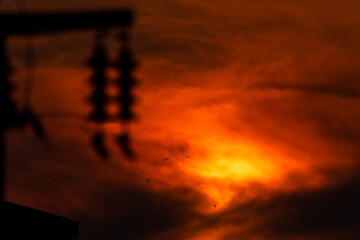 Electric pole and birds at sunset