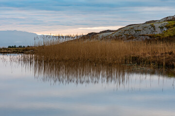 Reed beds and reflections in mountain lake 