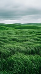 Obraz premium Rolling green hills under a cloudy sky