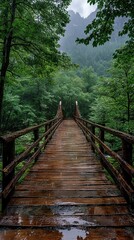 Obraz premium Rainy day on a wooden bridge in a lush forest.