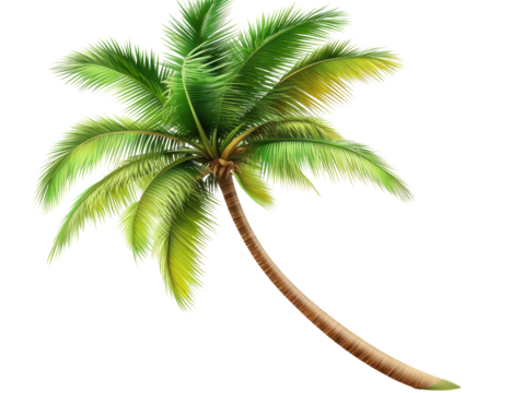 Isolated Curved Palm Tree Scene - Powered by Adobe