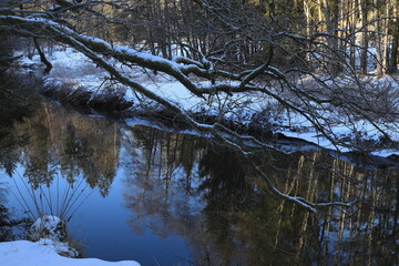 Naturschutzpark im Bayerischen Wald
