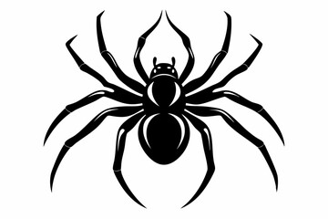 spider line art silhouette vector illustration