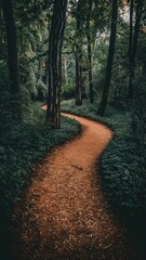 Fototapeta premium A winding path through a lush green forest, surrounded by dense trees and foliage, inviting exploration and tranquility.