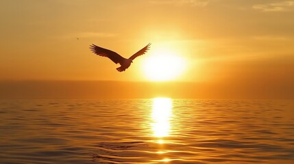Majestic eagle soaring high in the sky against an orange sunset