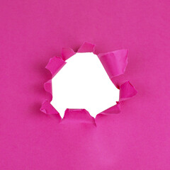 Torn paper with rolled edge with blank space. Torn paper with white copy space. Empty space for...