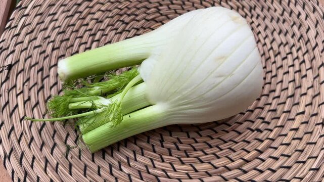 Fresh Florence fennel bulb on a place mat, top view
