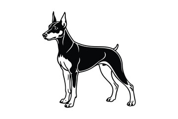 A Doberman Pinscher vector art silhouette illustration.eps