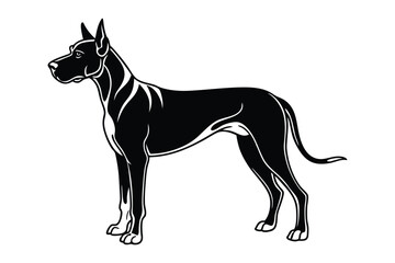A Great Dane vector art silhouette illustration.eps